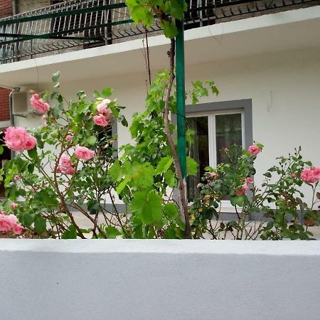 Apartmani Alma Skradin Exterior foto
